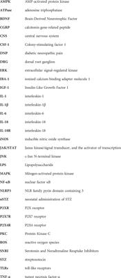 Role of microglia in diabetic neuropathic pain